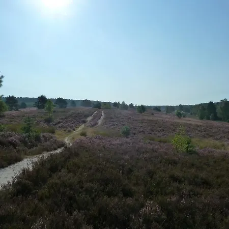 Haus Schwalbennest * Undeloh