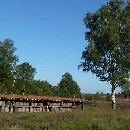 Haus Schwalbennest Apartament Undeloh